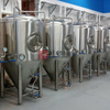 Progetto chiavi in ​​mano 1000L della fabbrica di birra Birra su misura per fermentazione dell'attrezzatura per la vendita