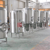 Progetto chiavi in ​​mano 1000L della fabbrica di birra Birra su misura per fermentazione dell'attrezzatura per la vendita