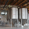 Attrezzatura per la produzione di birra artigianale artigianale automatizzata in acciaio inossidabile 1000L in vendita