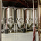 5HL Automated personalizzata Pub Craft Beer Brewery Macchine da vendere