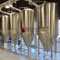 10BBL Fermentatore per birra rivestito conica Nuova attrezzatura per birreria personalizzabile in vendita in Colombia
