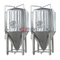 Impianto di attrezzatura per microbirrificio da birra per birra con serbatoio di fermentazione conica in acciaio inossidabile 20HL in Australia
