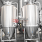 Serbatoio di fermentazione industriale in acciaio inossidabile chiavi in ​​mano 10BBL in vendita